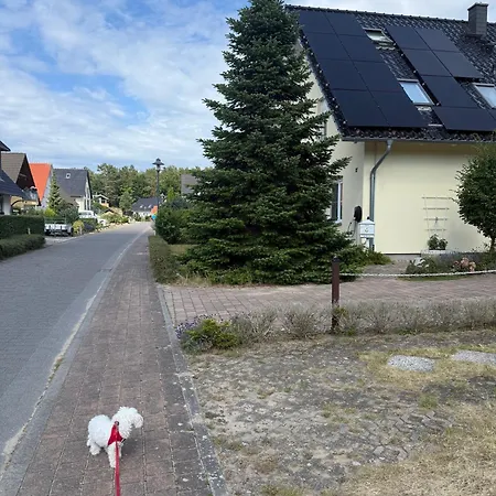 Waldhaus Frohsinn Appartamento *