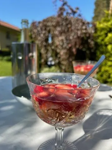 Waldhaus Frohsinn شقة هيرينجسدورف